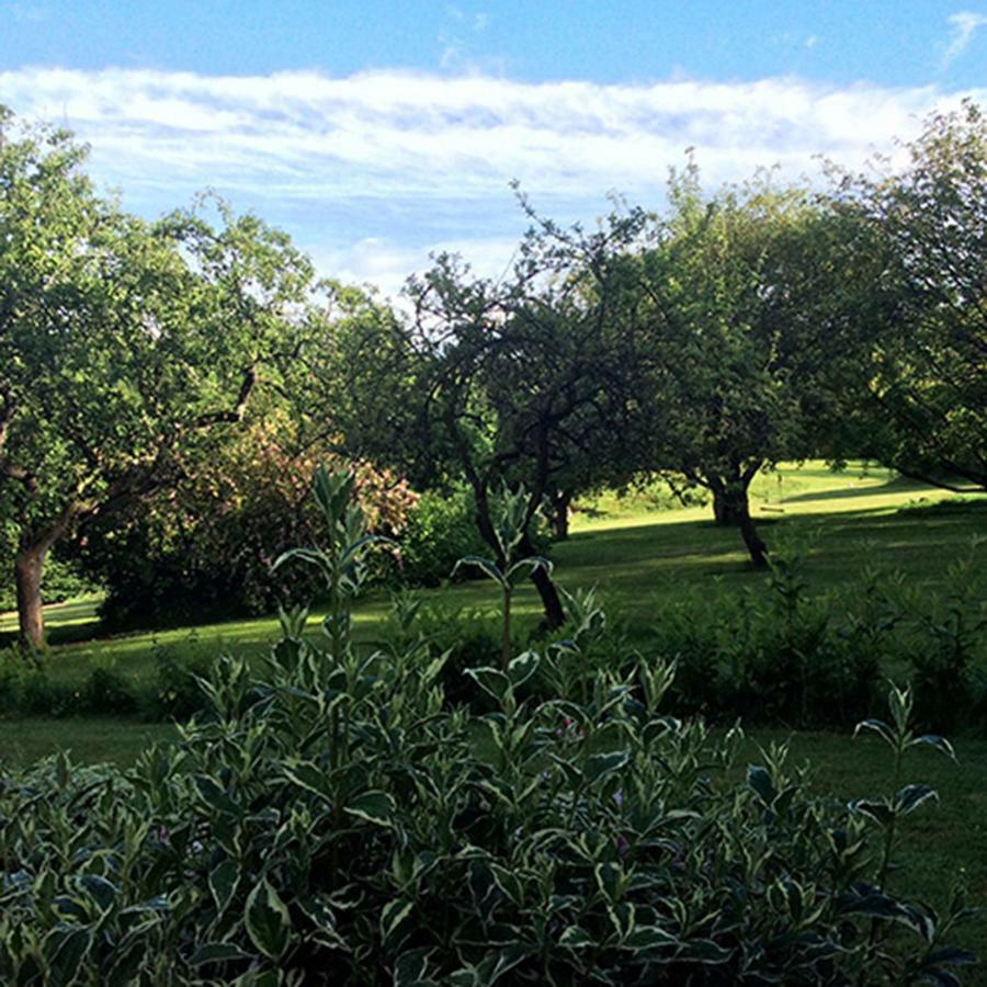 Beechfield Cottages Meopham  Exteriör bild